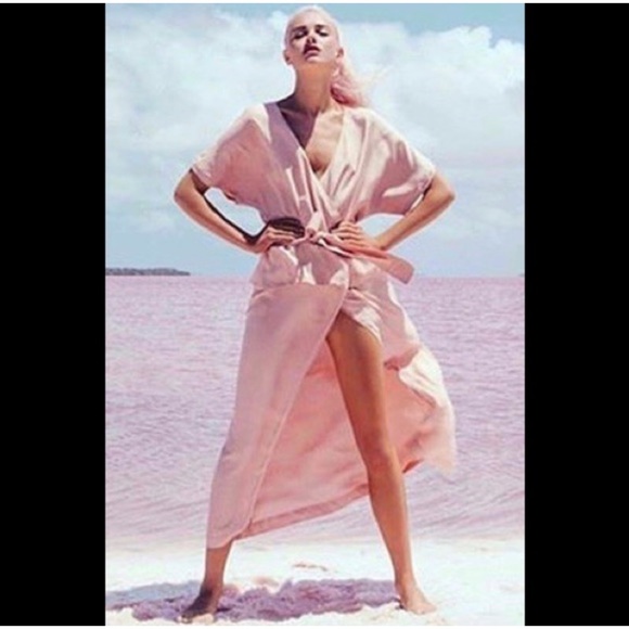 Shakuhachi Dust Pink Isabelle Wrap Dress - Picture 10 of 10